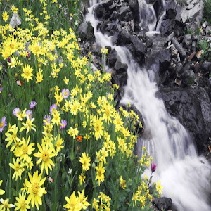 Spring Live Wallpaper.apk 1