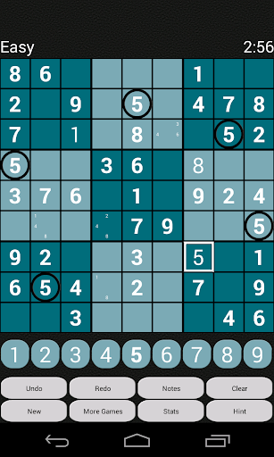 Sudoku Puzzles