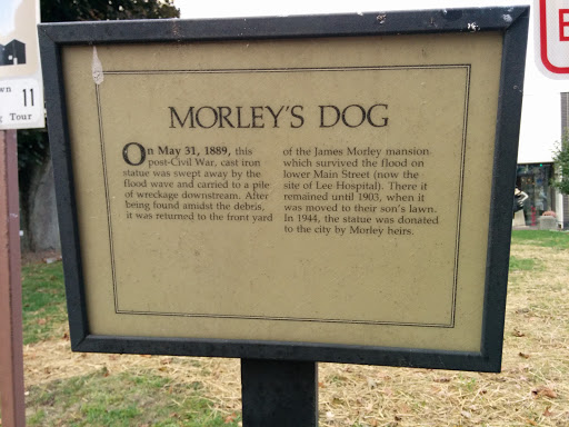 Morley's Dog