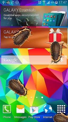 Bug in Phone funny joke