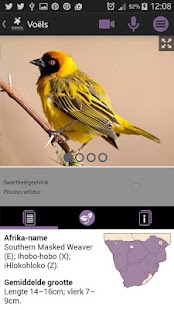 How to download Sasol Voëls vir Beginners 1.0 unlimited apk for pc