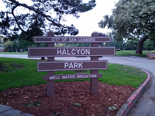Halcyon Park