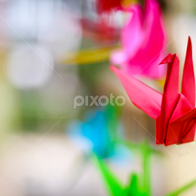 fly by Andy Alexandy - Artistic Objects Still Life