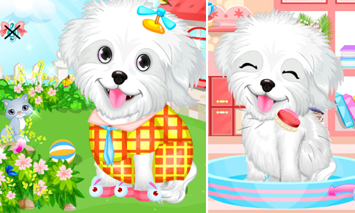 【免費休閒App】Fluffy Puppy Pet Spa And Care-APP點子