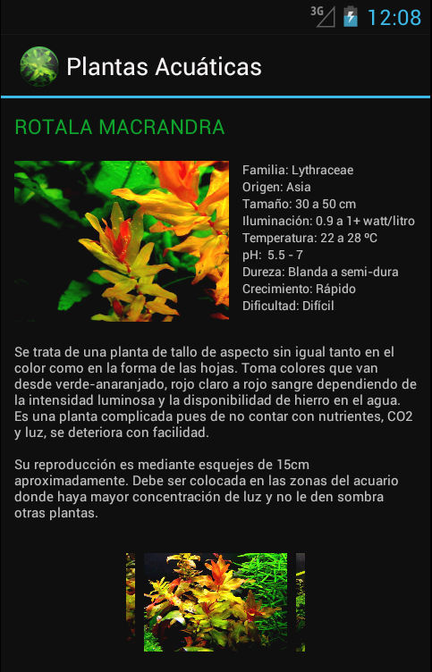 Plantas Acuáticas Screen 2