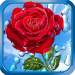 Cover Image of Download Summer Rain, Flowers, HD LWP 1.6.0 APK