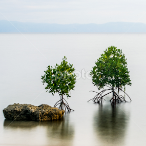 Oddity by Ynon Francisco - Nature Up Close Trees & Bushes