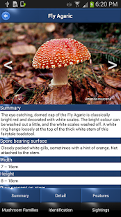 Mushroom Id - British Fungi(圖2)-速報App