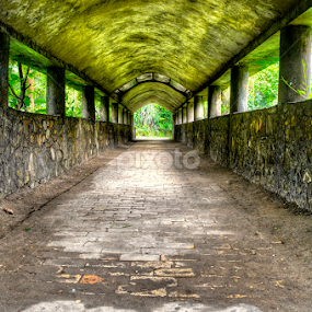 by Ravi Kashyap - Buildings & Architecture Bridges & Suspended Structures