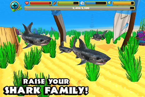 Wildlife Simulator: Shark(圖4)-速報App