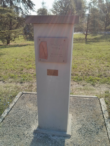 Modena - Busto Walter Villa