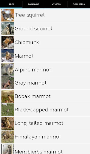 免費下載書籍APP|Squirrel Species app開箱文|APP開箱王