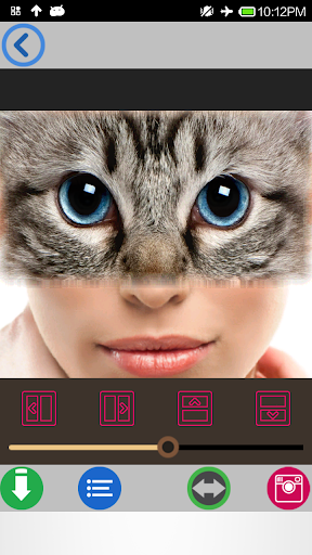 免費下載個人化APP|InstaFoto: Animal Face Change app開箱文|APP開箱王