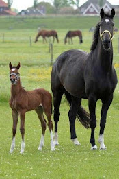 corner puzzle poster 1