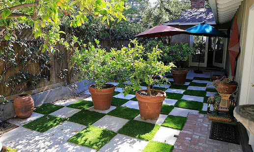Small Garden Ideas(圖1)-速報App