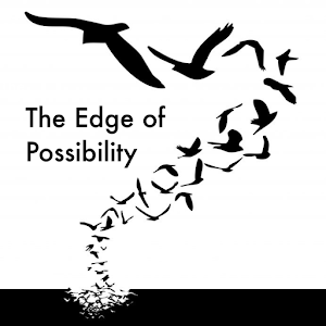 The Edge of Possibility