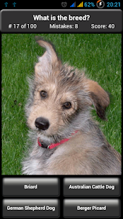 Dog Breed Quiz(圖4)-速報App