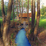 Lonley River by Srdjan Vujmilovic -  