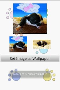 How to mod Mundo Mascotas Pet Shop 1.0 mod apk for laptop