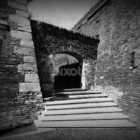 I'm free! by Valentin Sarca - Buildings & Architecture Public & Historical