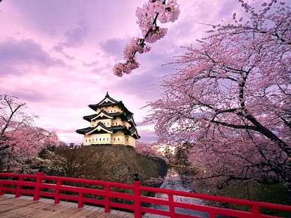 How to download Sakura Flowers Live Wallpaper 1.7.2 unlimited apk for android