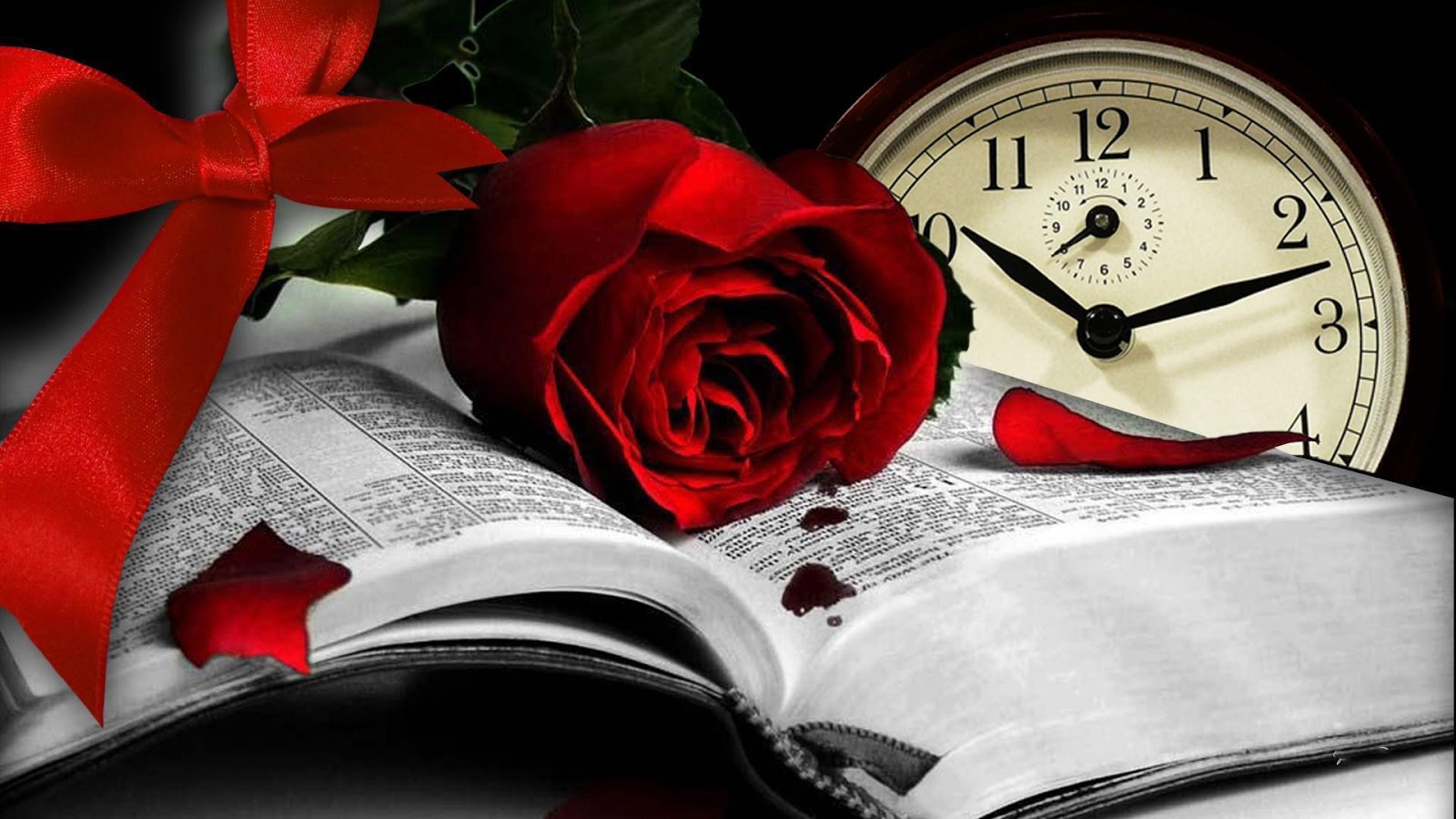 Rose and Books HD Wallpapers