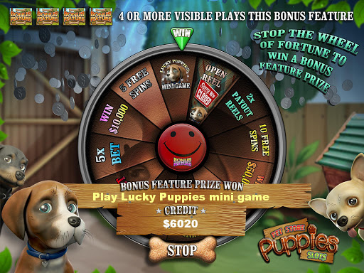 免費下載博奕APP|Pet Store Puppies Slot PREMIUM app開箱文|APP開箱王