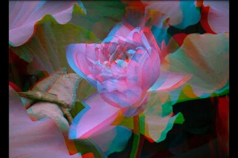 Stereoscope Screenshots 3