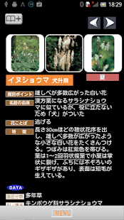 季節の野草・山草図鑑(圖4)-速報App