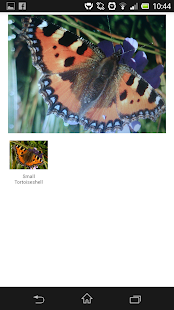 How to download What's That Butterfly - UK 1.4 mod apk for bluestacks