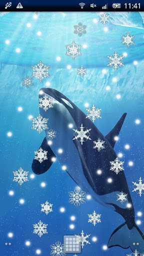 Orca☆Snow