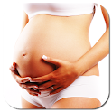 Pregnancy Guide Week By Week