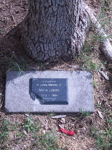 Memorial For Marie