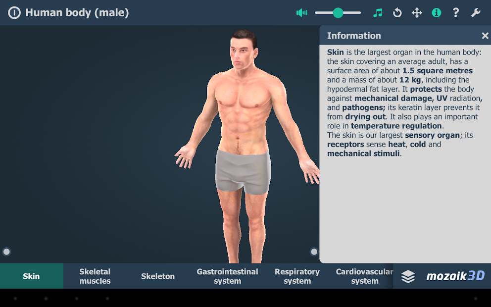 Human body (male) educational VR 3D Apps op Google Play
