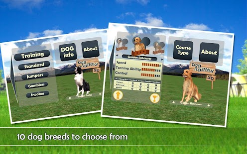 Dog Agility 3D Free 1.6 APK + Mod (Unlimited money / Free purchase) for Android