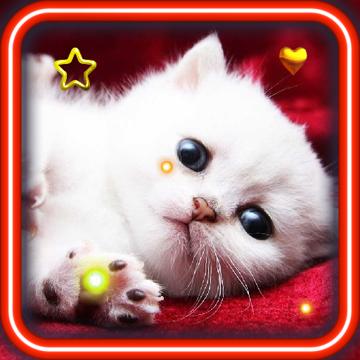 Lovely Kitties live wallpaper LOGO-APP點子