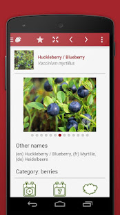 Wild Berries and Herbs 2 PRO(圖5)-速報App