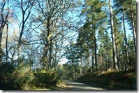 A back road in Moray