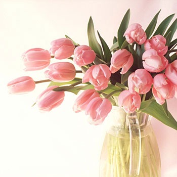 [mothers_day_5_3505.jpg]