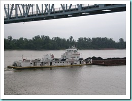 P7110573