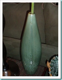 P7250891