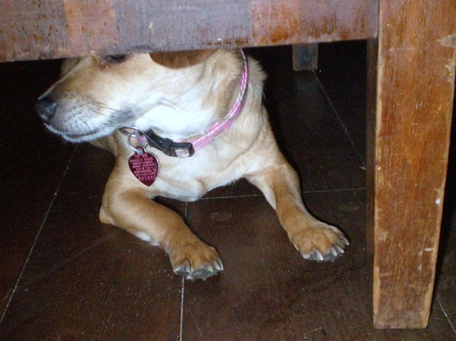 [P72508825.jpg]