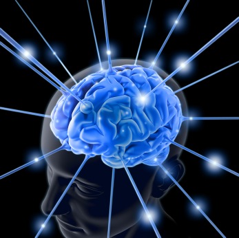 [brain-763982-1[4].jpg]