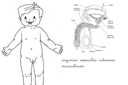 Hojas De Trabajo Para Niños De Tres Años