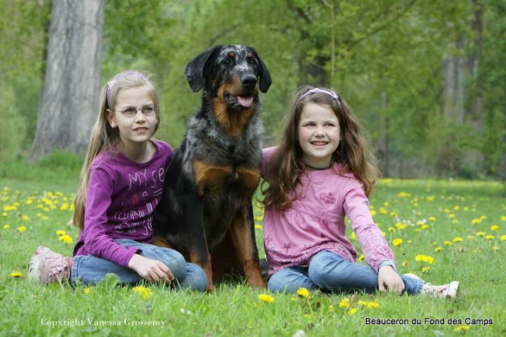 BEAUCERON%20179%20%5B800x600%5D.jpg