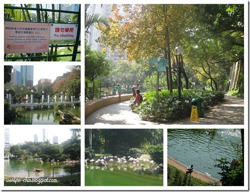 kowloon park-1