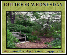 [Outdoor_Wednesday_logo[3].png]