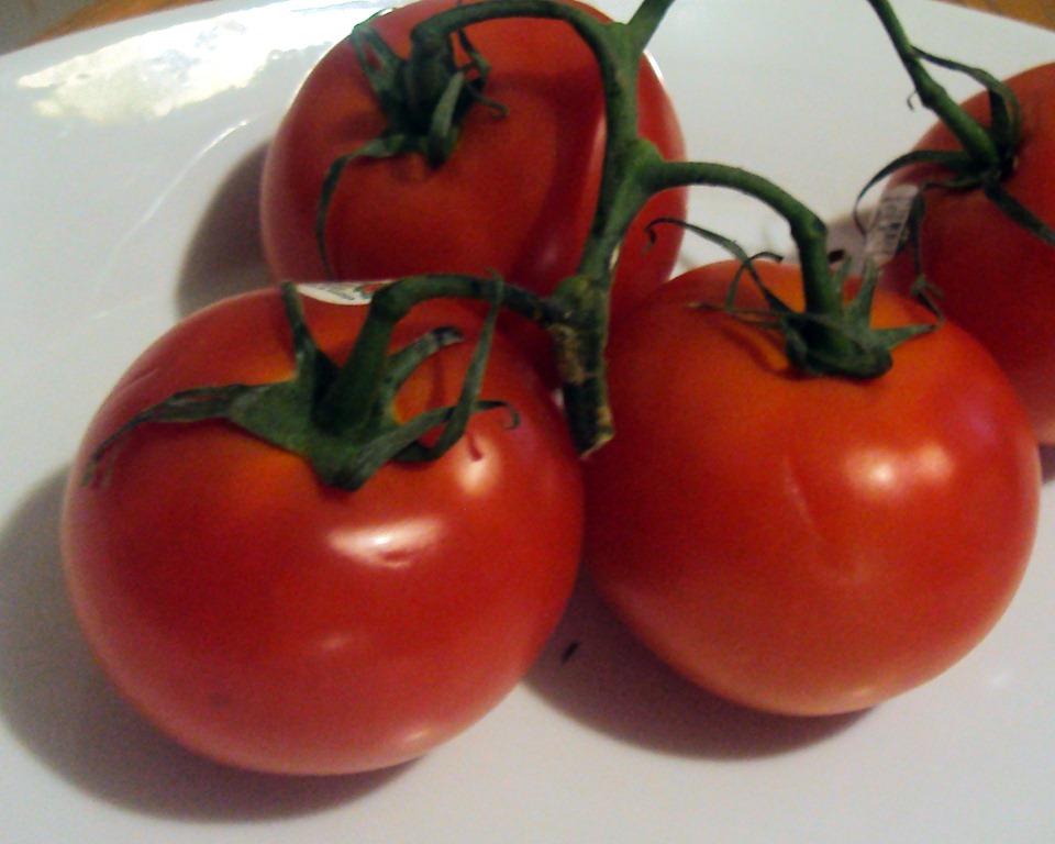 [tomato still life vine[7].jpg]