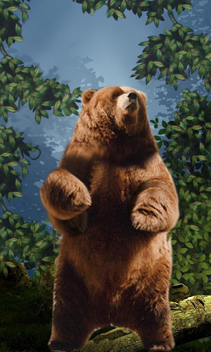 Bears wallpaper