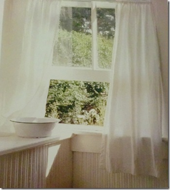 Washbasin and window
